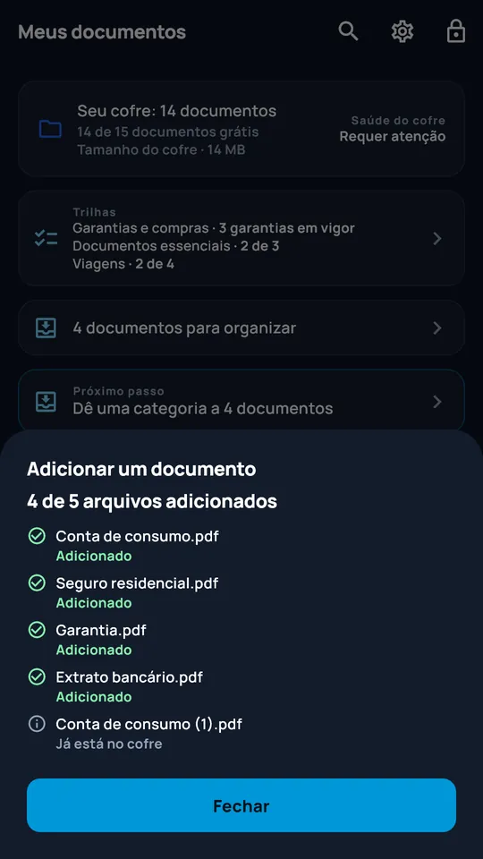 Resumo da importação de vários arquivos