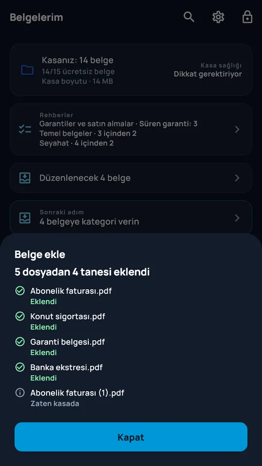 Birden çok dosyanın içe aktarım özeti